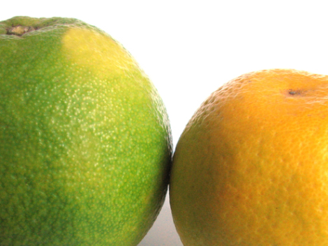 sweeetlime-2-1175566-638x371